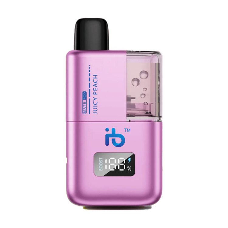 Understanding the Ingredients of Electronic Cigarettes